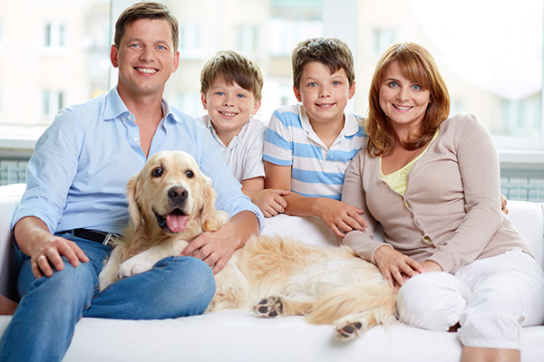 family dentist Blaine, MN